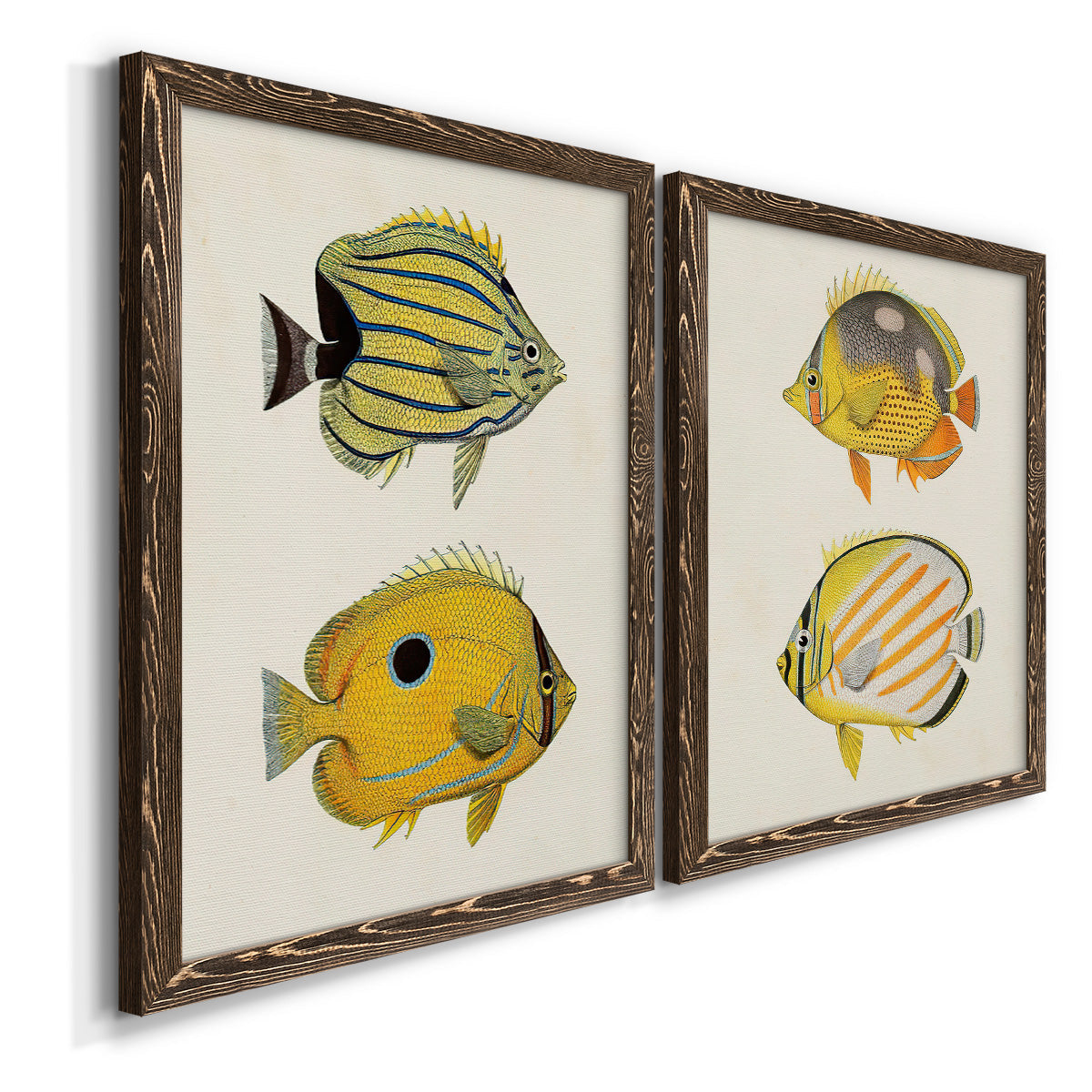 Yellow & Grey Fish III - Premium Framed Canvas 2 Piece Set - Ready to Hang