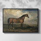 Eagle, A Celebrated Stallion, 1809 - Floater Framed Canvas Print
