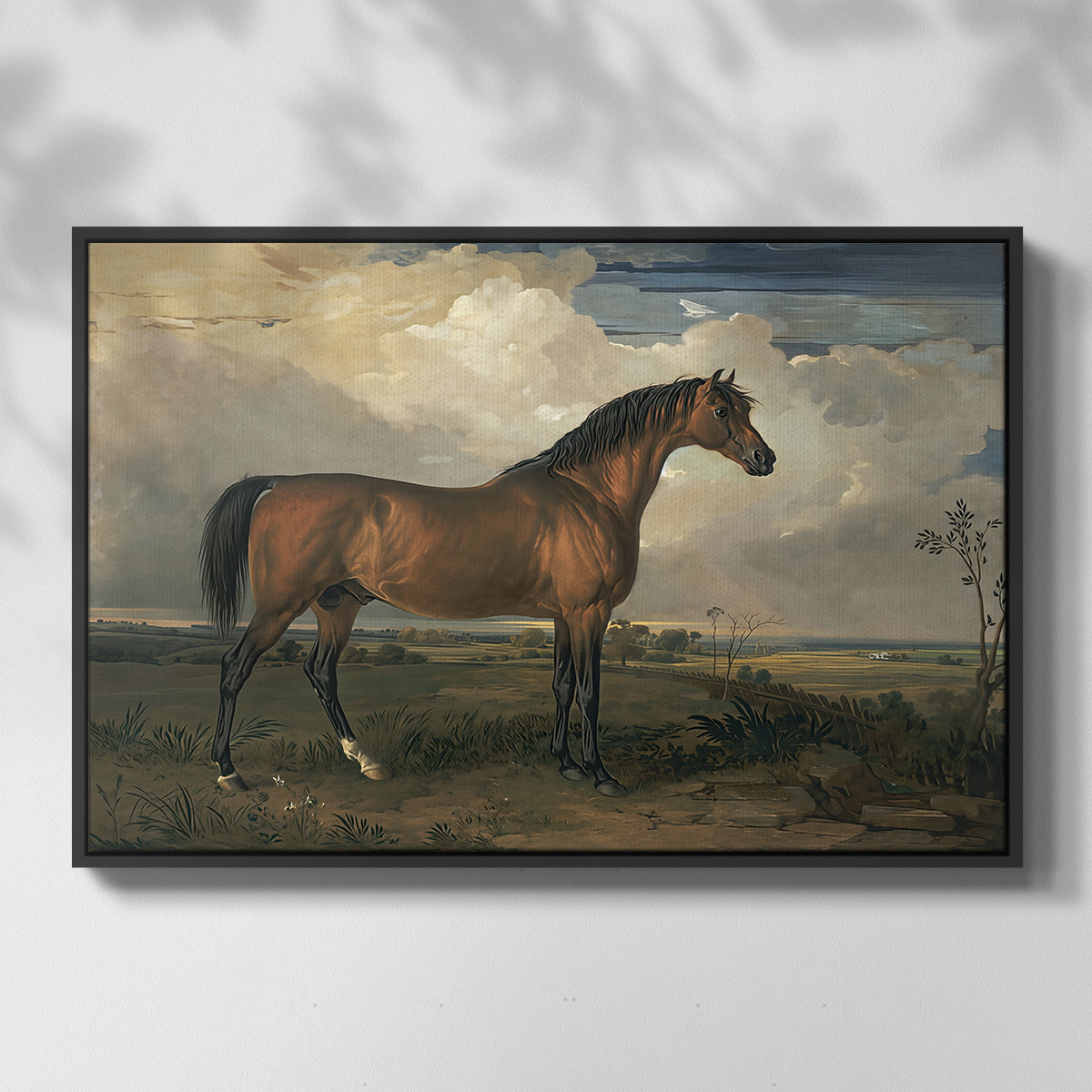 Eagle, A Celebrated Stallion, 1809 - Floater Framed Canvas Print