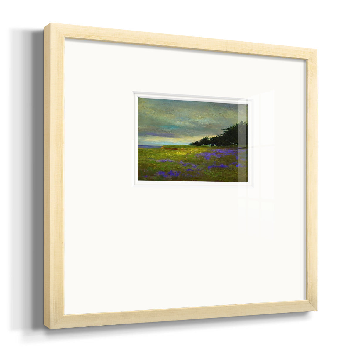 Coastal Views VI Premium Framed Print Double Matboard