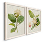 Magnolia Flowers I - Premium Framed Canvas 2 Piece Set - Ready to Hang