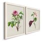 Pretty Pink Botanicals V - Premium Framed Canvas 2 Piece Set - Ready to Hang