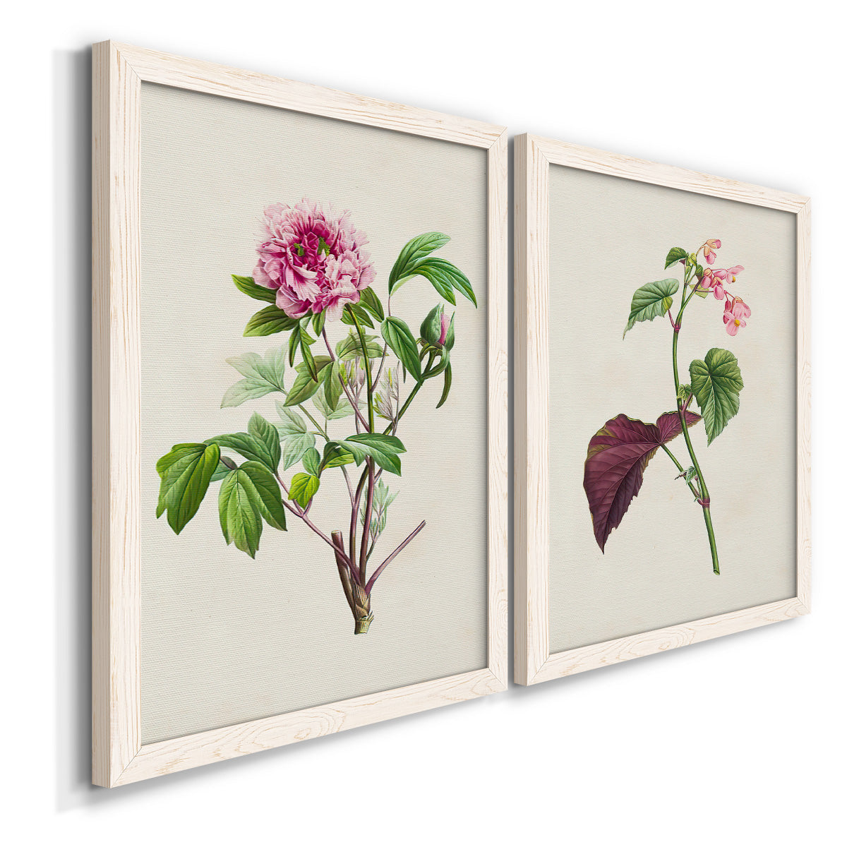 Pretty Pink Botanicals V - Premium Framed Canvas 2 Piece Set - Ready to Hang