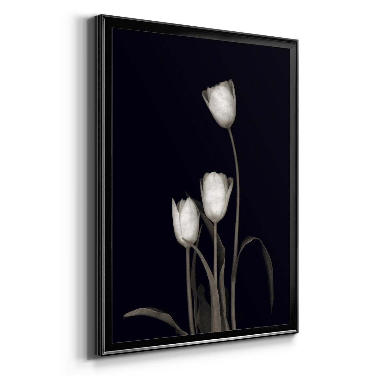 Tulip Pose III - Modern Framed Canvas Print