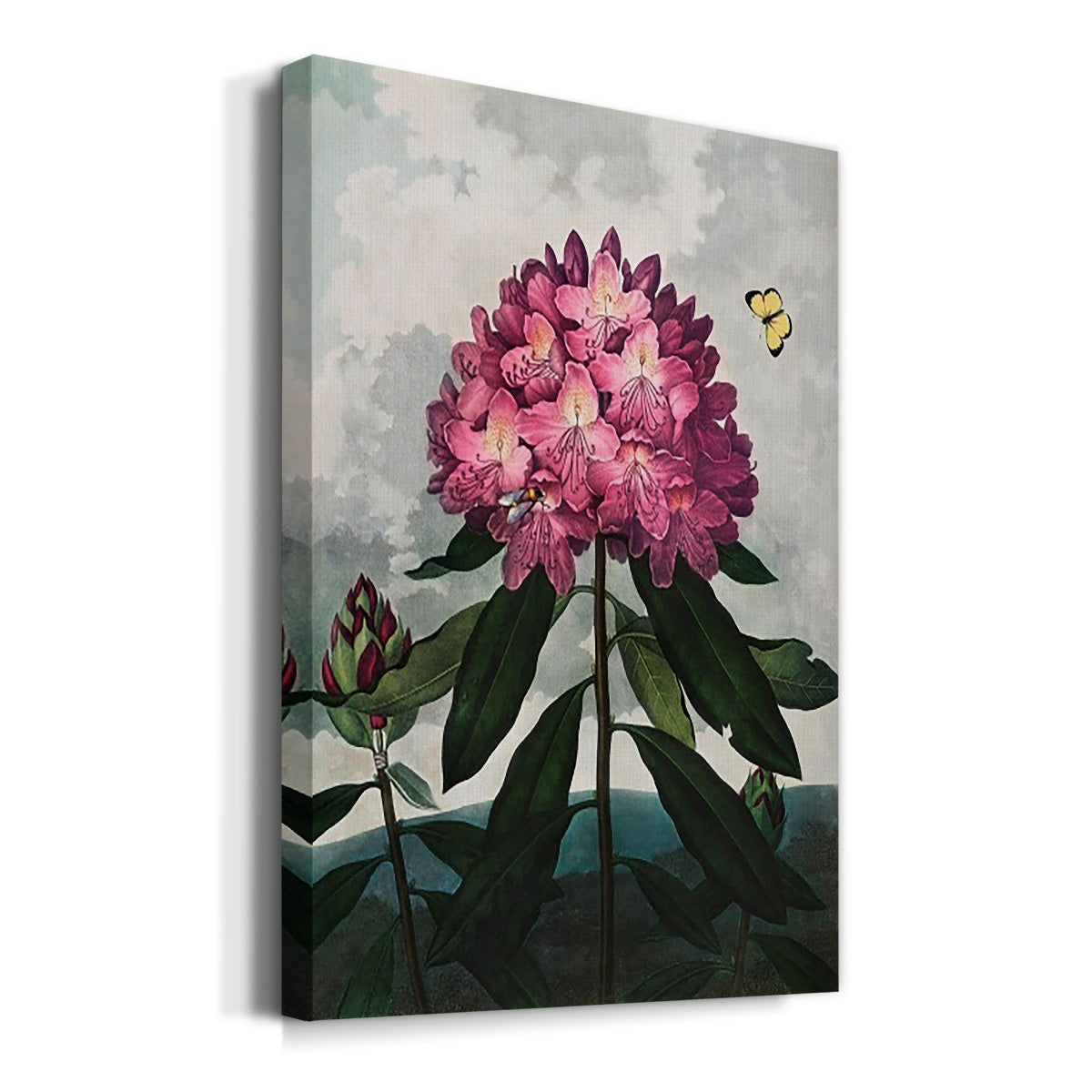 Temple of Flora X - Canvas Art Print