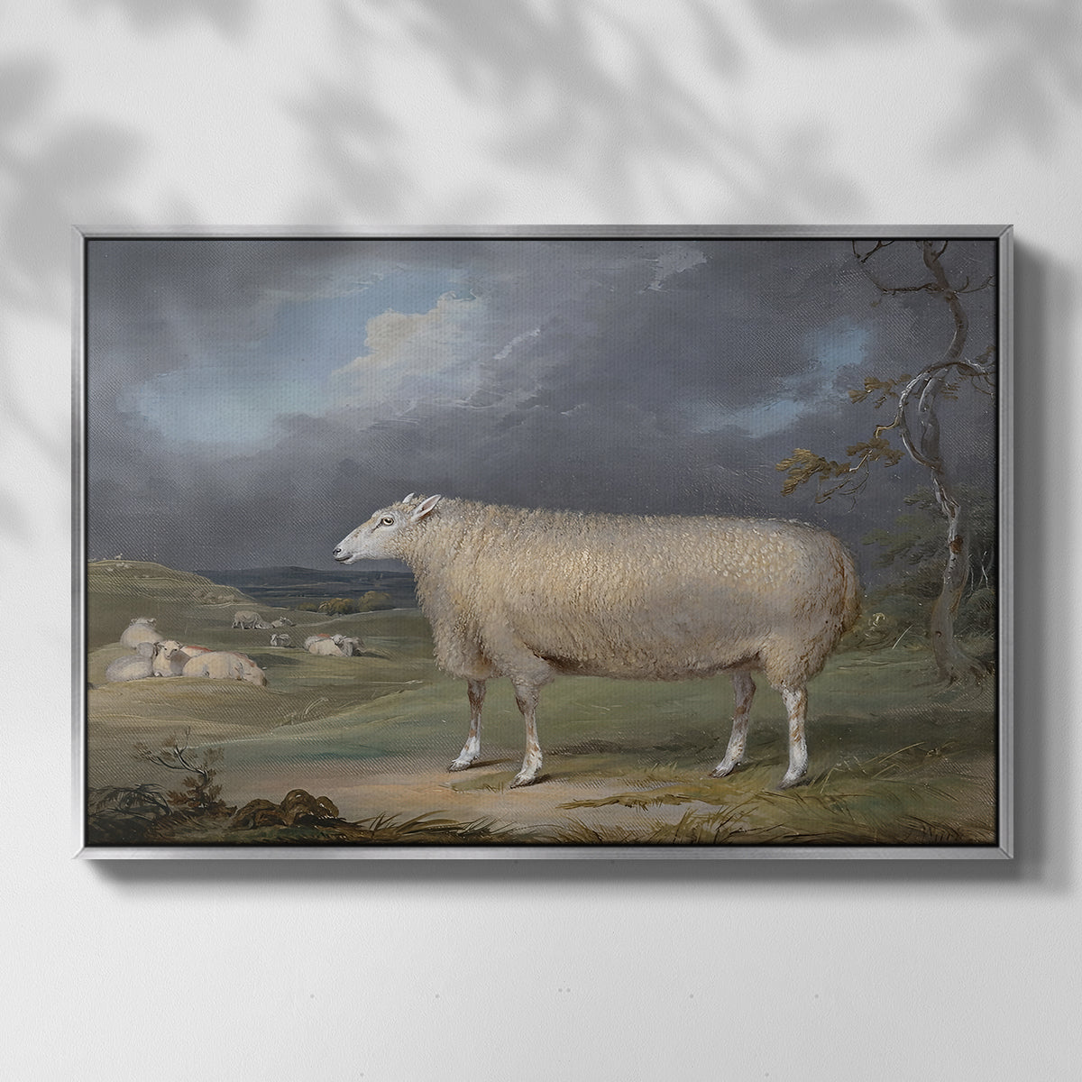 A Border Leicester Ewe, c. 1795-1800 - Floater Framed Canvas Print