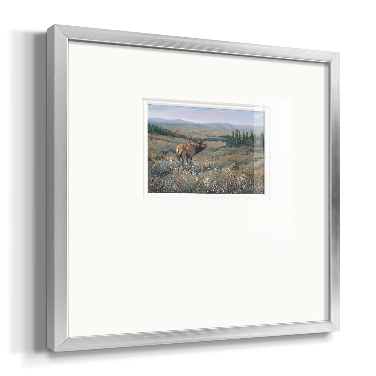 Western Wildlife I Premium Framed Print Double Matboard