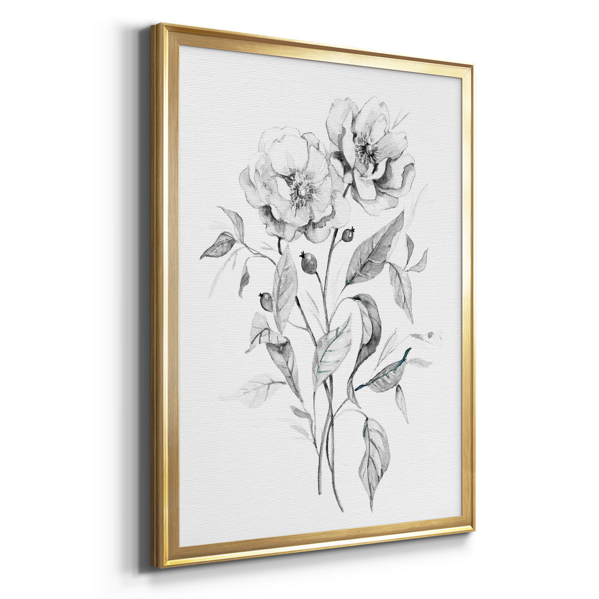 Wild Roses Sketch - Modern Framed Canvas Print