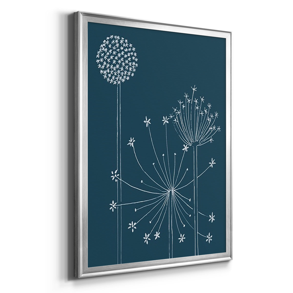 Graphic Alliums I - Modern Framed Canvas Print