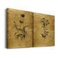 Gold Sketch Botanical I Premium Gallery Wrapped Canvas - Ready to Hang - Set of 2 - 8 x 12 Each