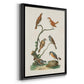 Antique Birds in Nature IV - Modern Framed Canvas Print
