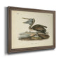 Audubons Brown Pelican - Ornate Framed Canvas Print