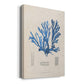 Blue Marine Algae IX - Canvas Art Print