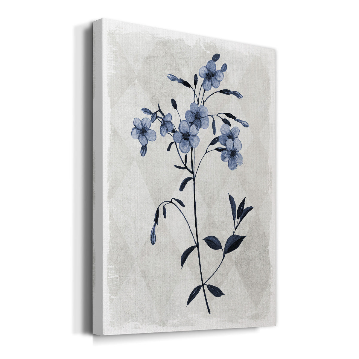 Harlequin Botanical III - Canvas Art Print