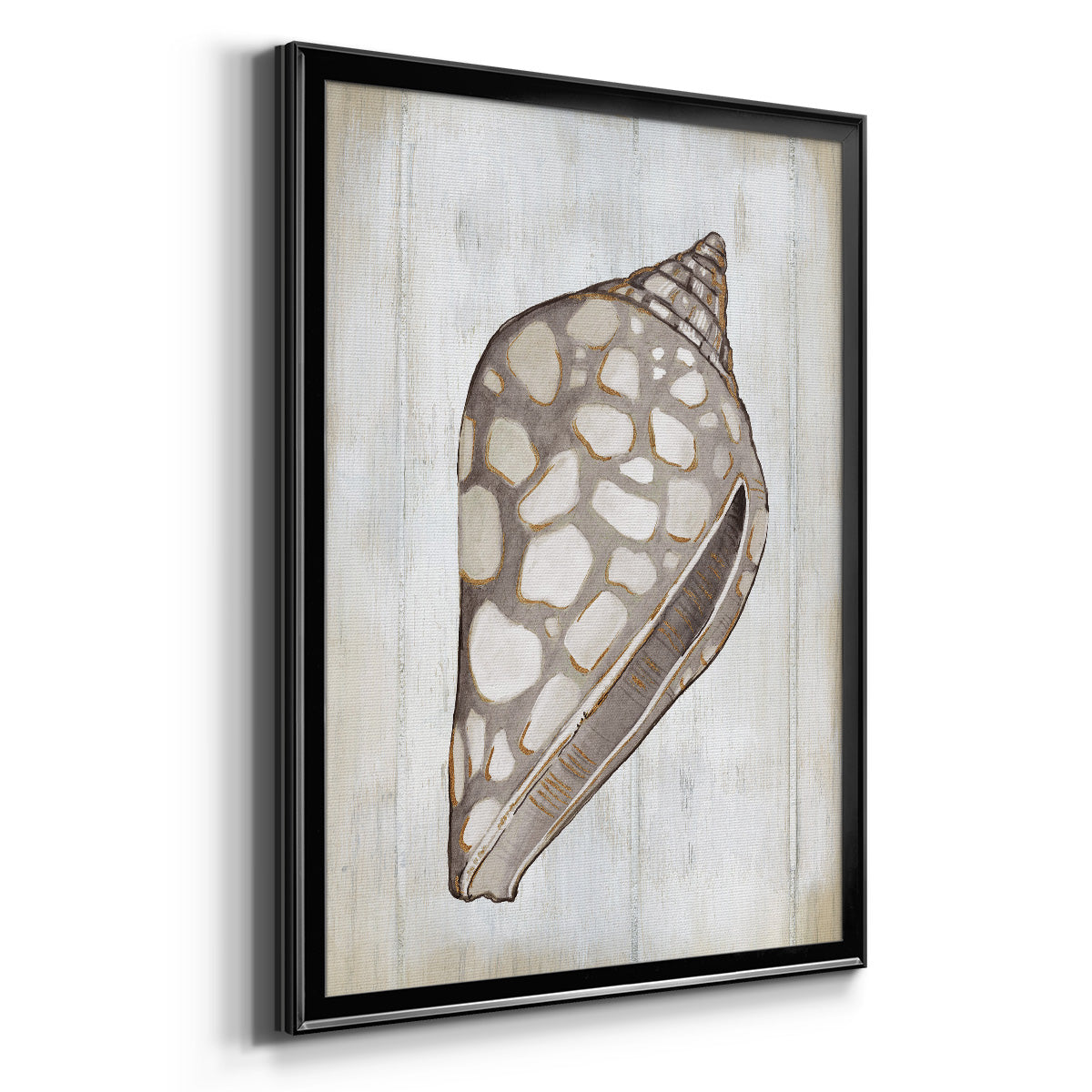 Ocean Cone I - Modern Framed Canvas Print