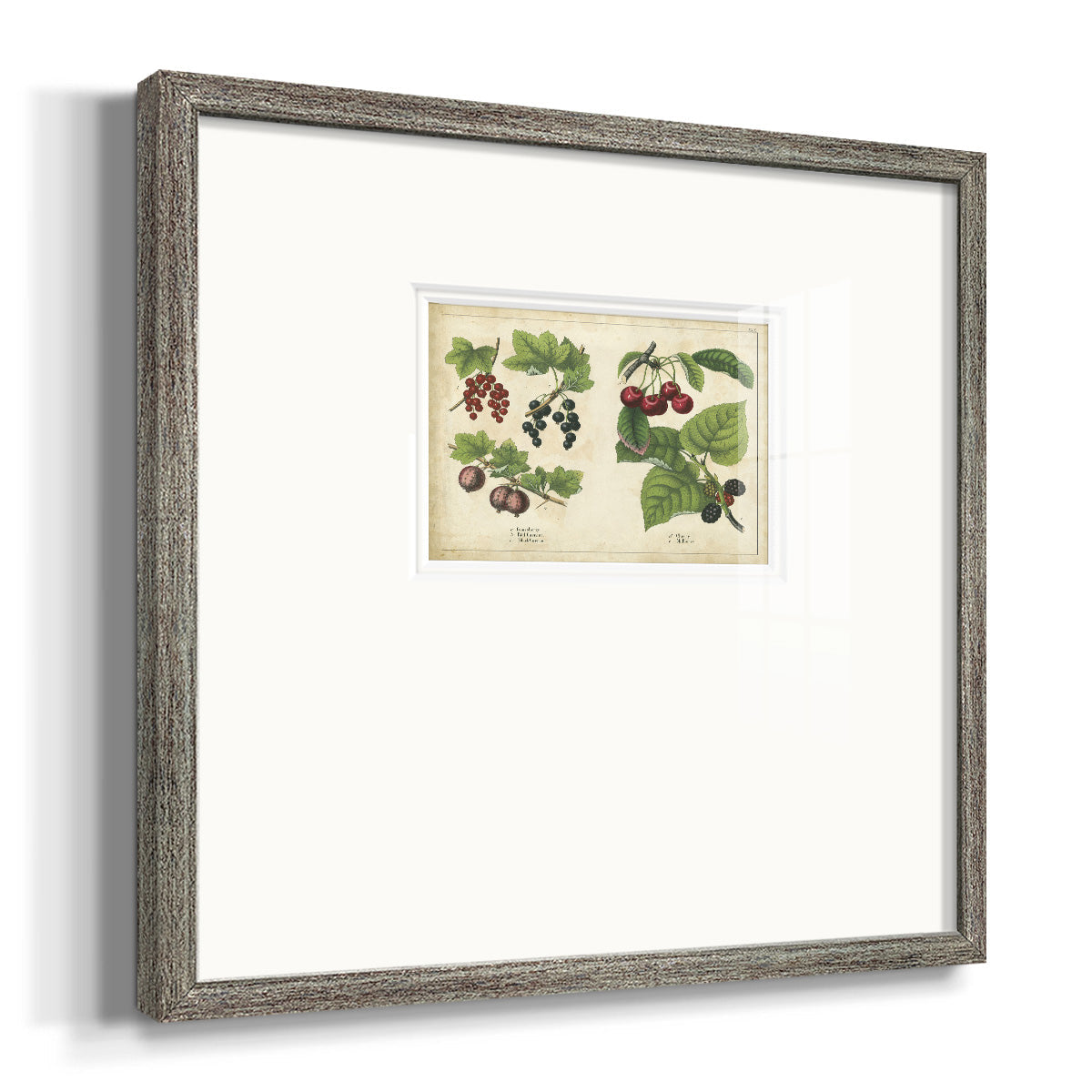 Kitchen Fruits III Premium Framed Print Double Matboard