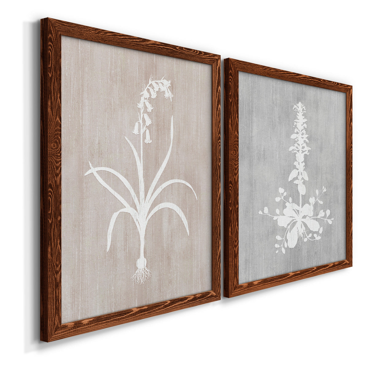 Angled view of a set of two maple barnwood framed canvas prints featuring two rustic minimalist botanical prints featuring white botanical silhouettes on softly weathered neutral backgrounds.