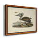 Audubons Brown Pelican - Ornate Framed Canvas Print