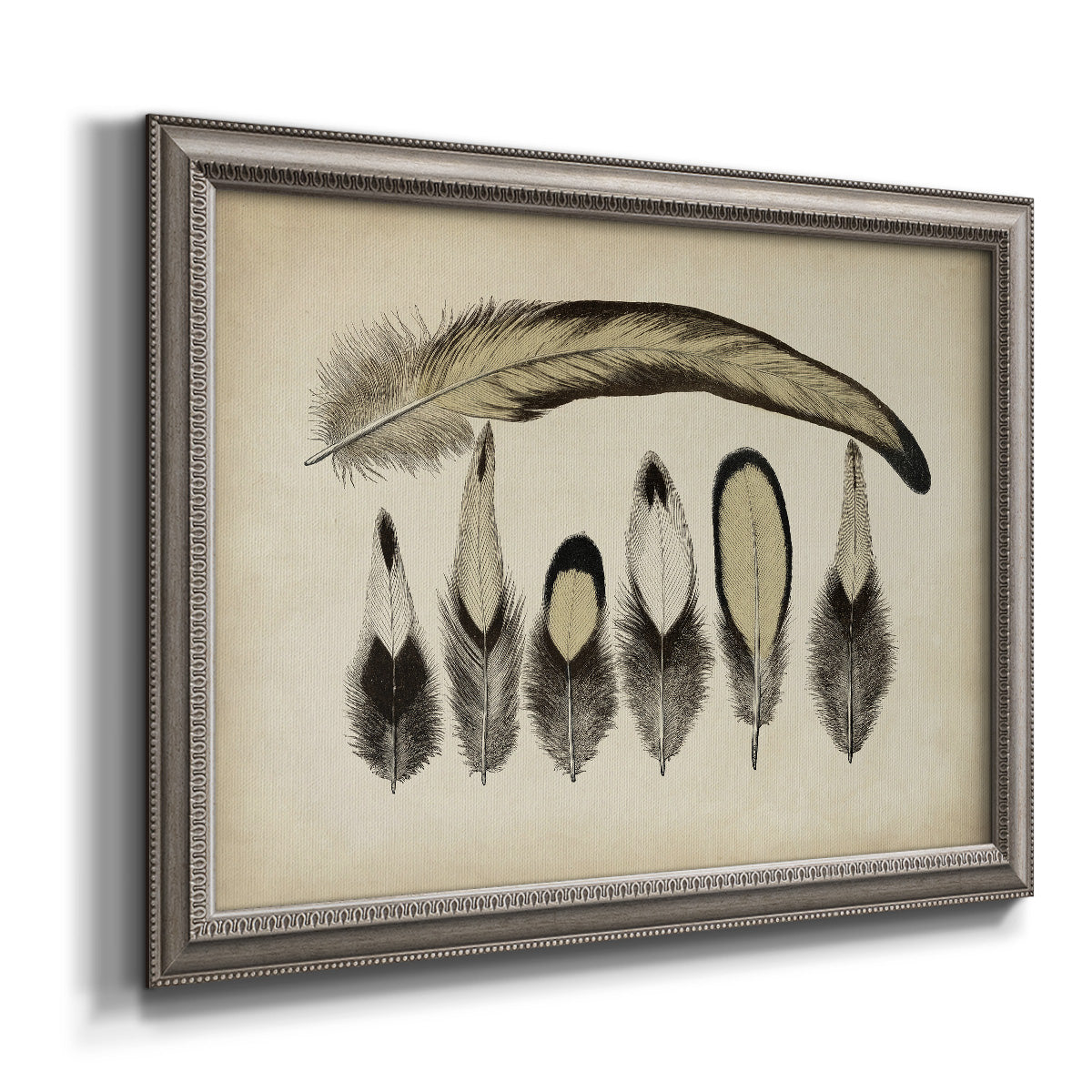 Vintage Feathers VII Premium Framed Canvas- Ready to Hang