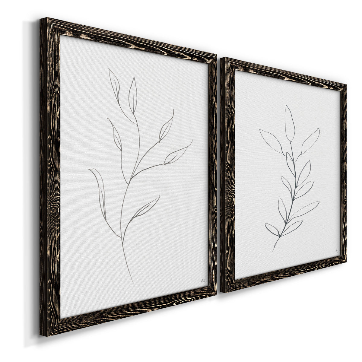 Angled view of a set of two black barnwood framed canvas prints featuring two minimalist botanical line drawings featuring single continuous-line leafy branches.