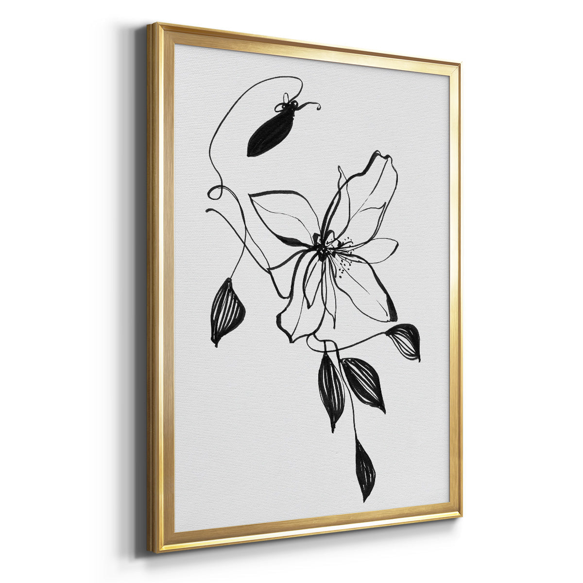 Wild Clematis I - Modern Framed Canvas Print