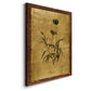 Gold Sketch Botanical I - Premium Canvas Framed in Barnwood - Ready to Hang