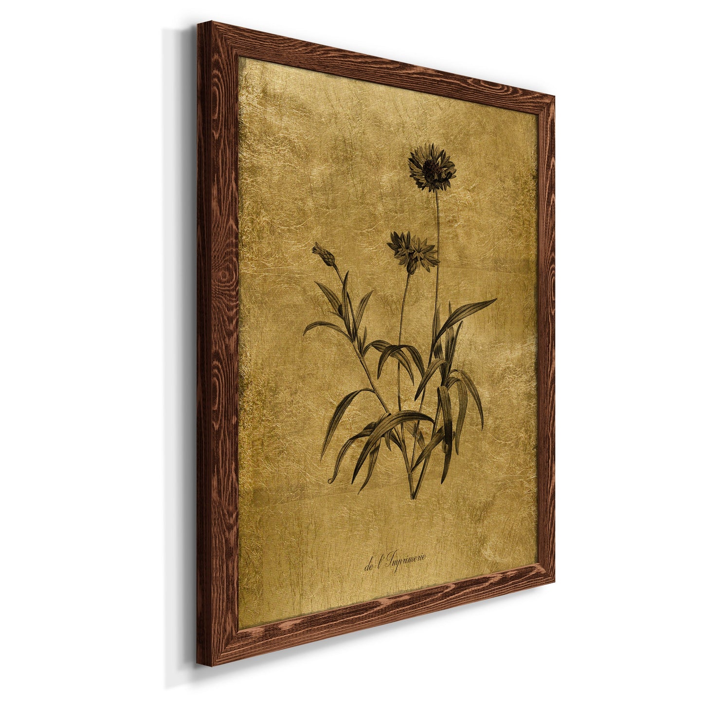 Gold Sketch Botanical I - Premium Canvas Framed in Barnwood - Ready to Hang