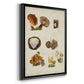 Mushroom Species I - Modern Framed Canvas Print