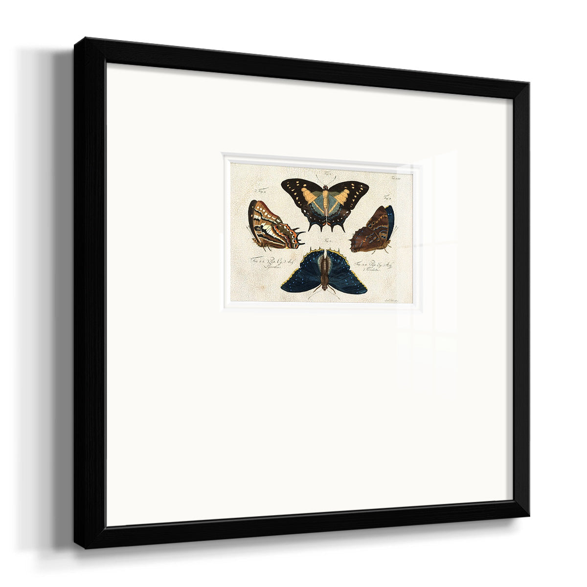 Crackled Butterflies IV Premium Framed Print Double Matboard