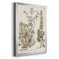 Sepia Botanical Journal IV - Modern Framed Canvas Print