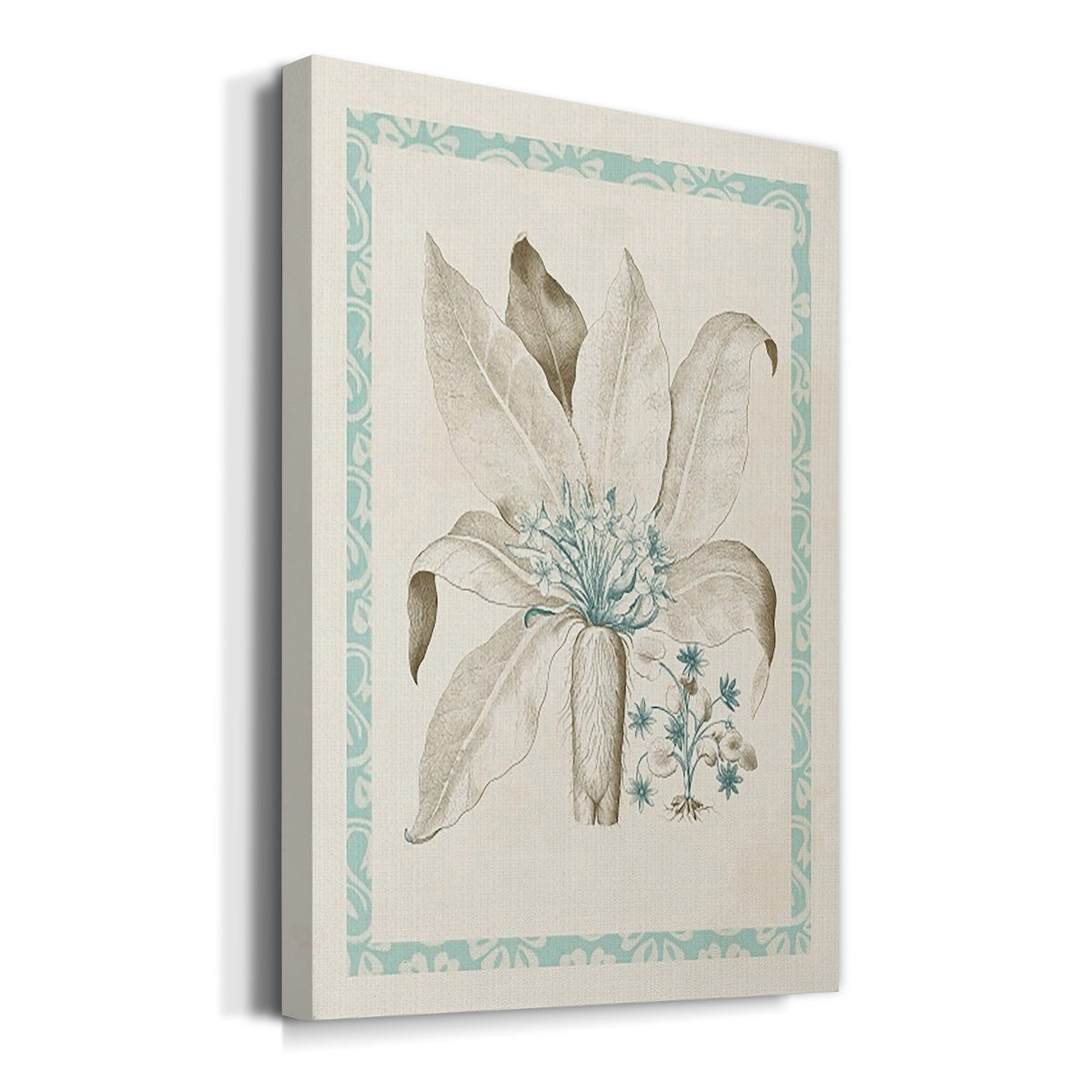 Willow Blue Besler V Premium Gallery Wrapped Canvas - Ready to Hang