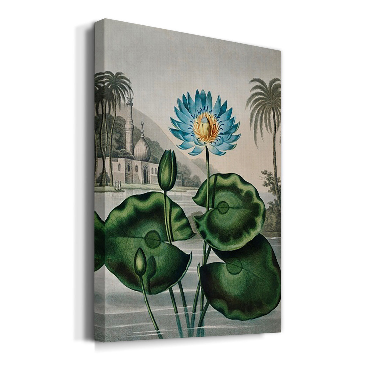 Temple of Flora IX - Canvas Art Print