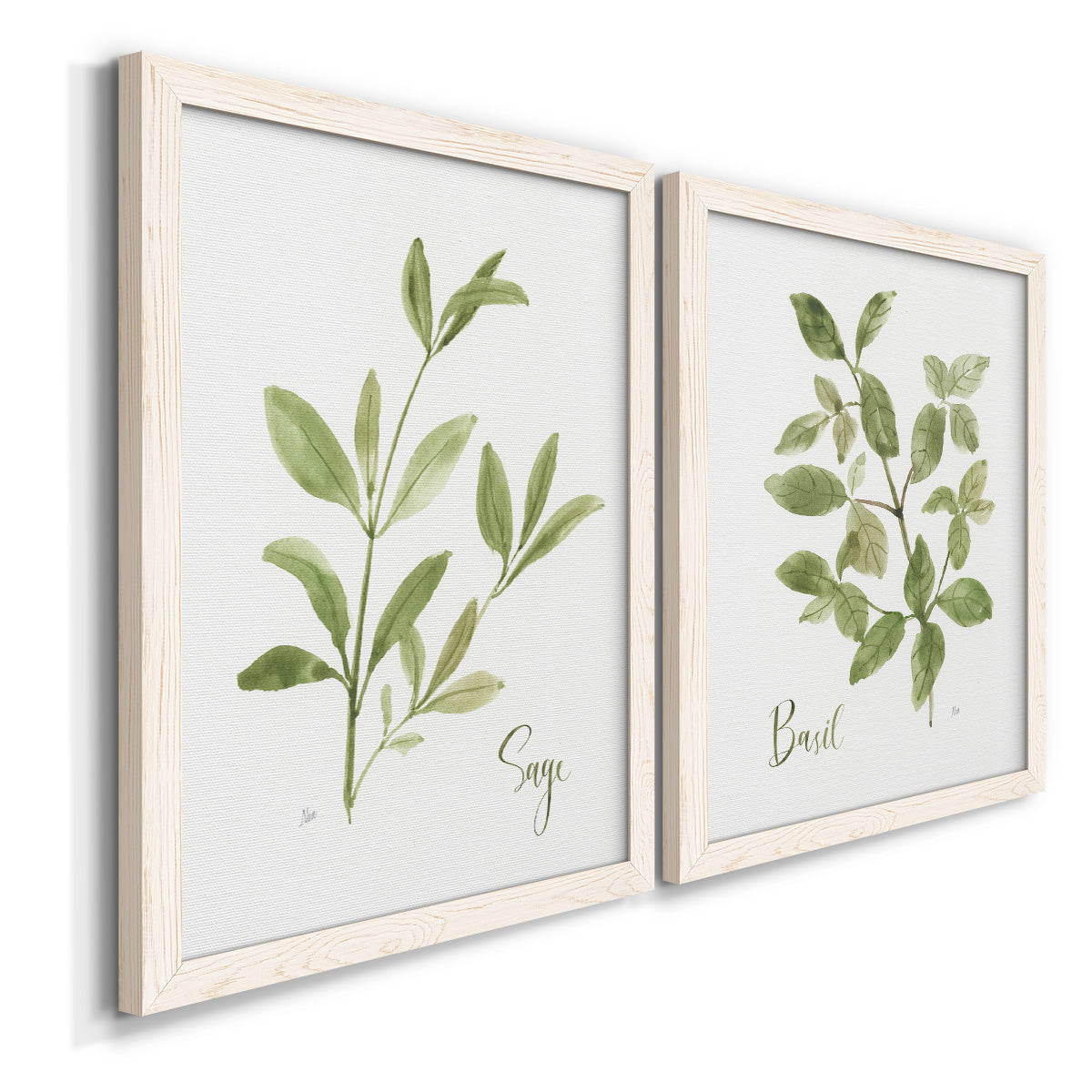 Herb Sage - Premium Framed Canvas 2 Piece Set - Ready to Hang