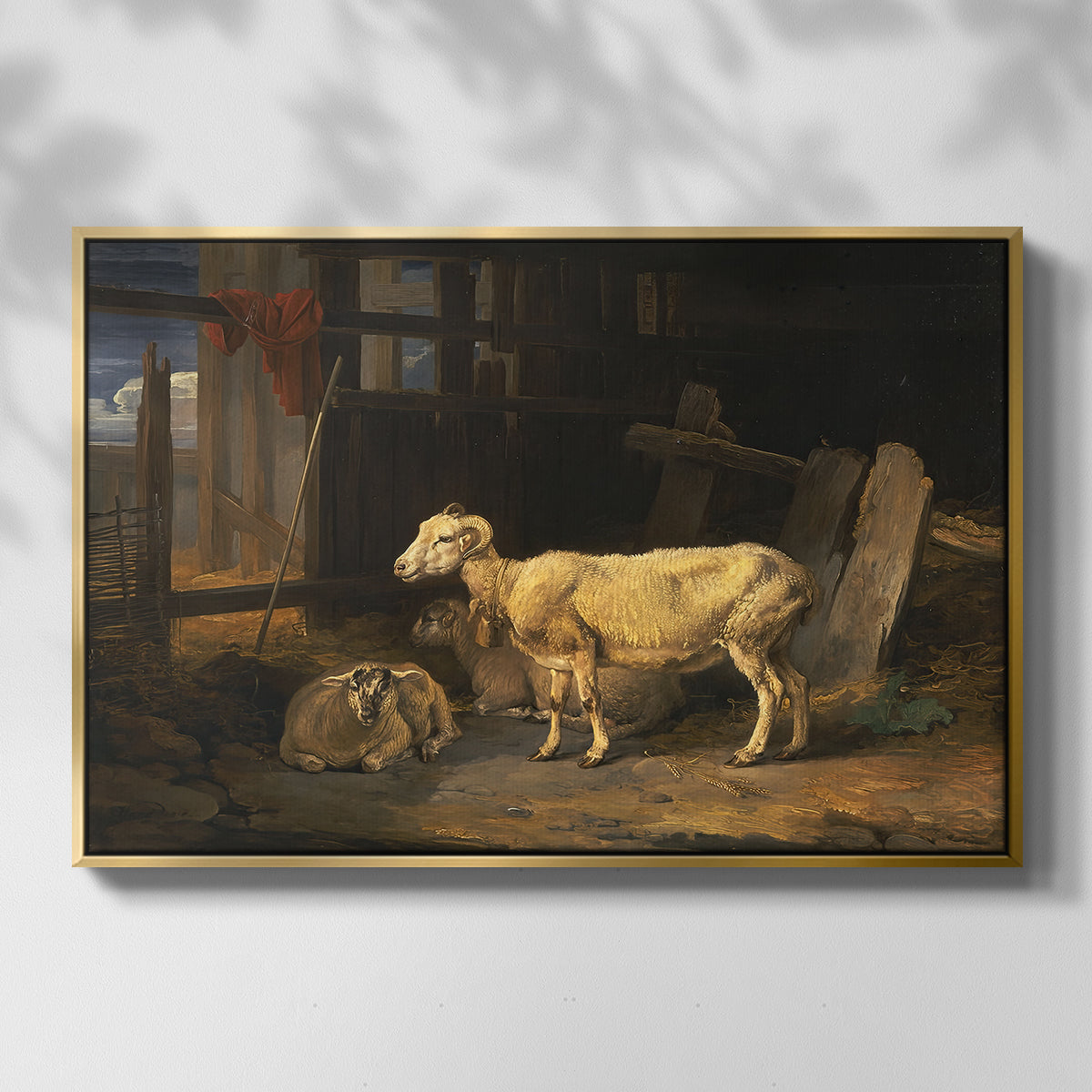 Sheep in a Stable, 1810 - Floater Framed Canvas Print