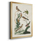 Antique Birds in Nature I - Modern Framed Canvas Print