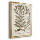 Sepia Botanical Journal I - Modern Framed Canvas Print