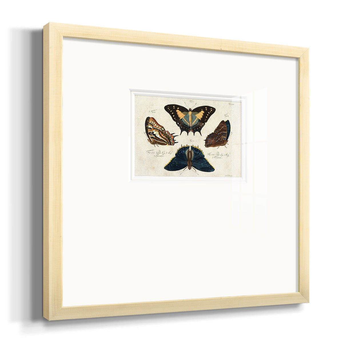 Crackled Butterflies IV Premium Framed Print Double Matboard