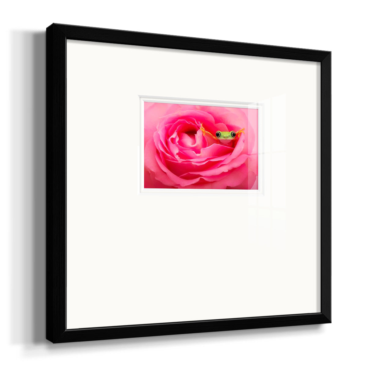 Hanging On VIII Premium Framed Print Double Matboard