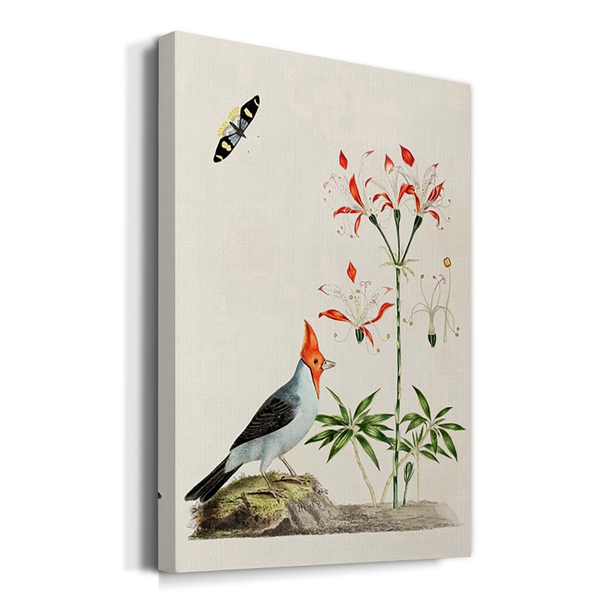 Bird in Habitat I Premium Gallery Wrapped Canvas - Ready to Hang