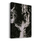 C37 Premium Gallery Wrapped Canvas - Ready to Hang