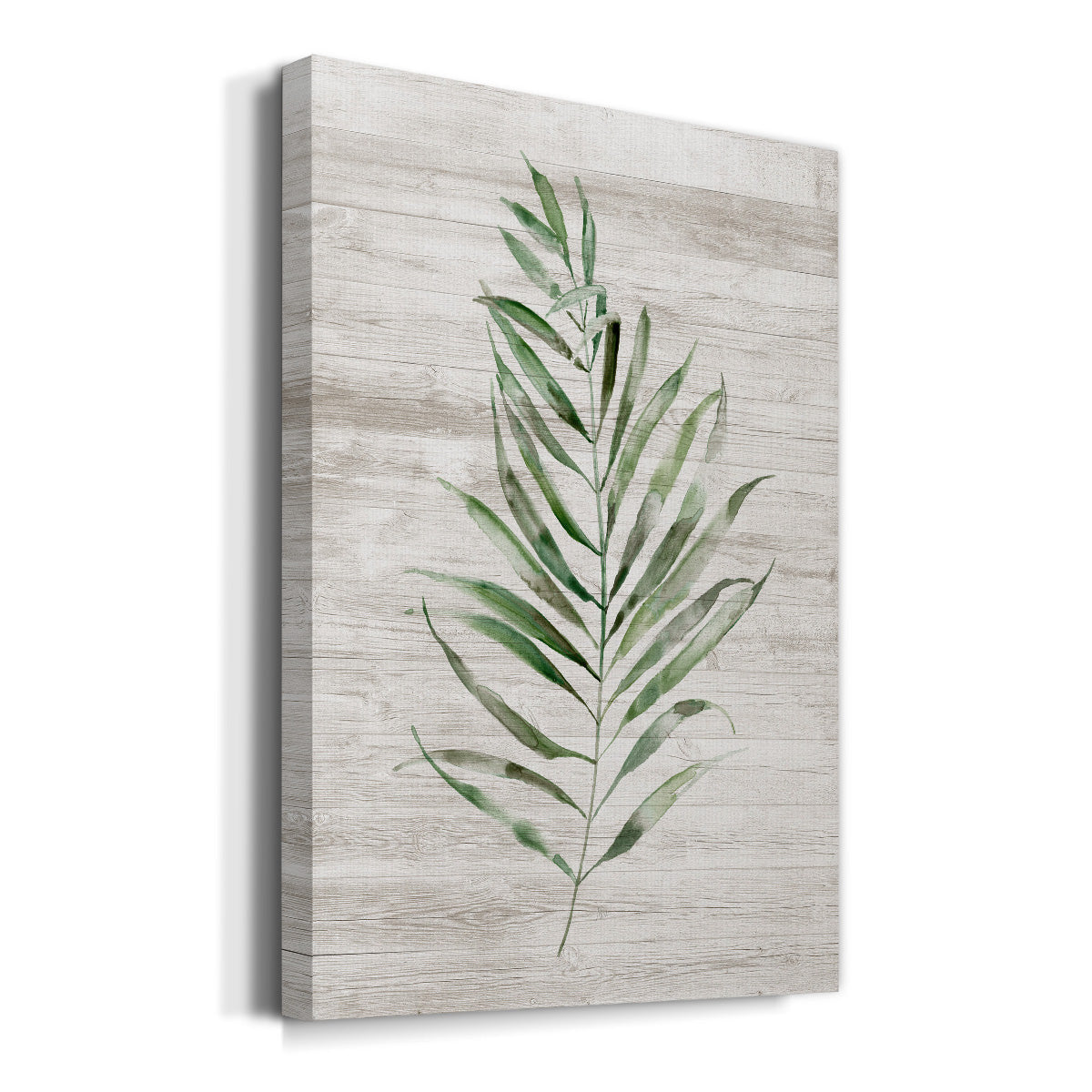 Tropic Frond II Premium Gallery Wrapped Canvas - Ready to Hang