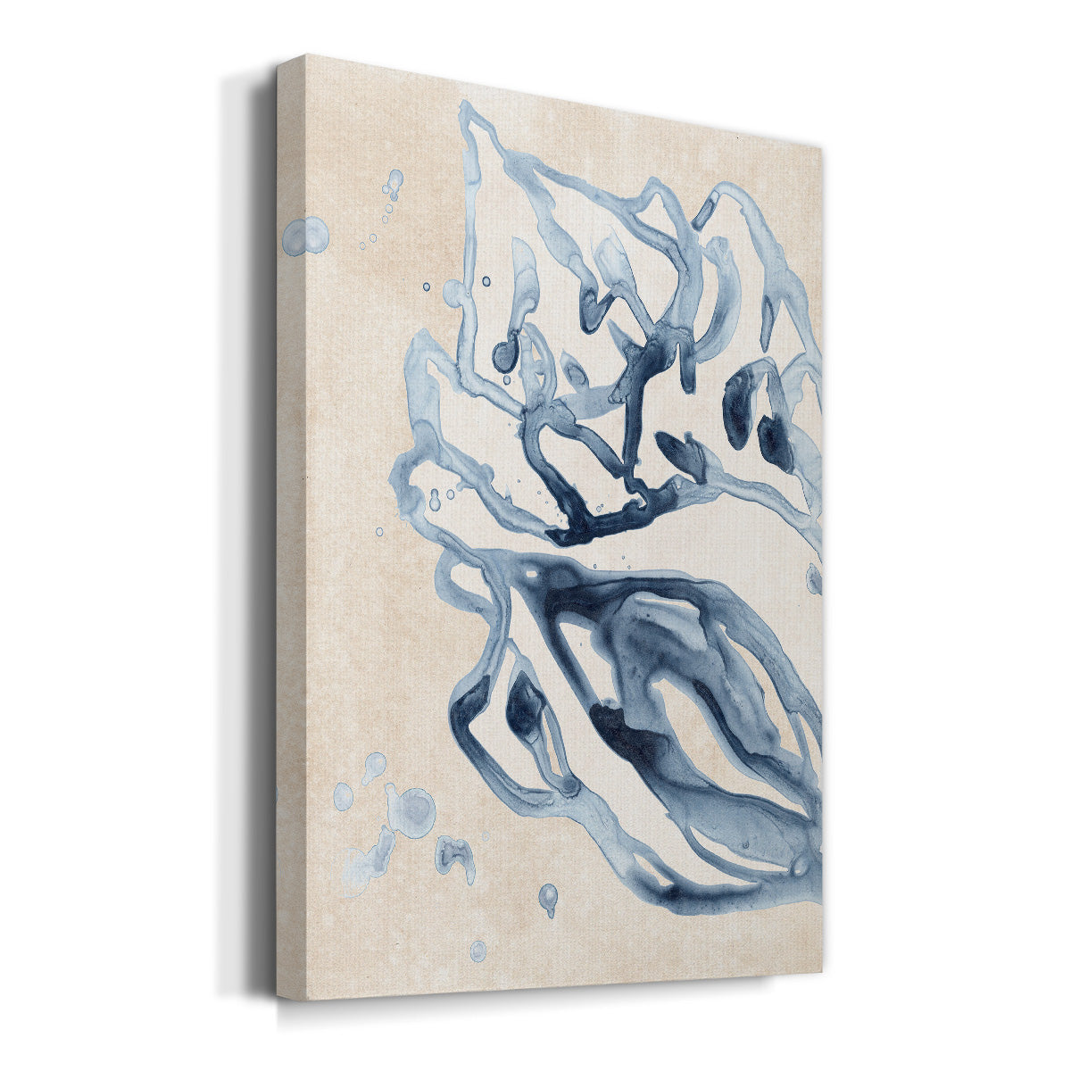 Water Shells II Premium Gallery Wrapped Canvas - Ready to Hang