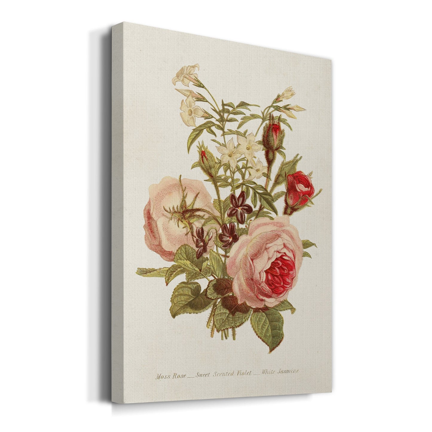 Antique Floral Bouquet III Premium Gallery Wrapped Canvas - Ready to Hang