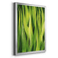 Blades of Grass I - Modern Framed Canvas Print