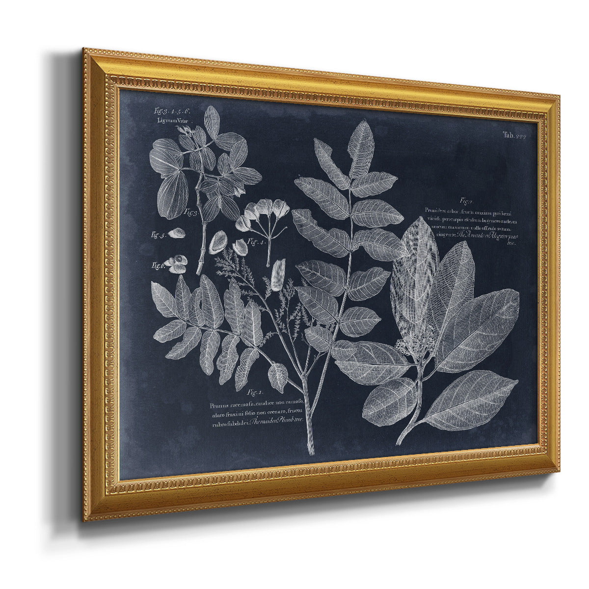 Foliage on Navy V Premium Framed Canvas- Ready to Hang