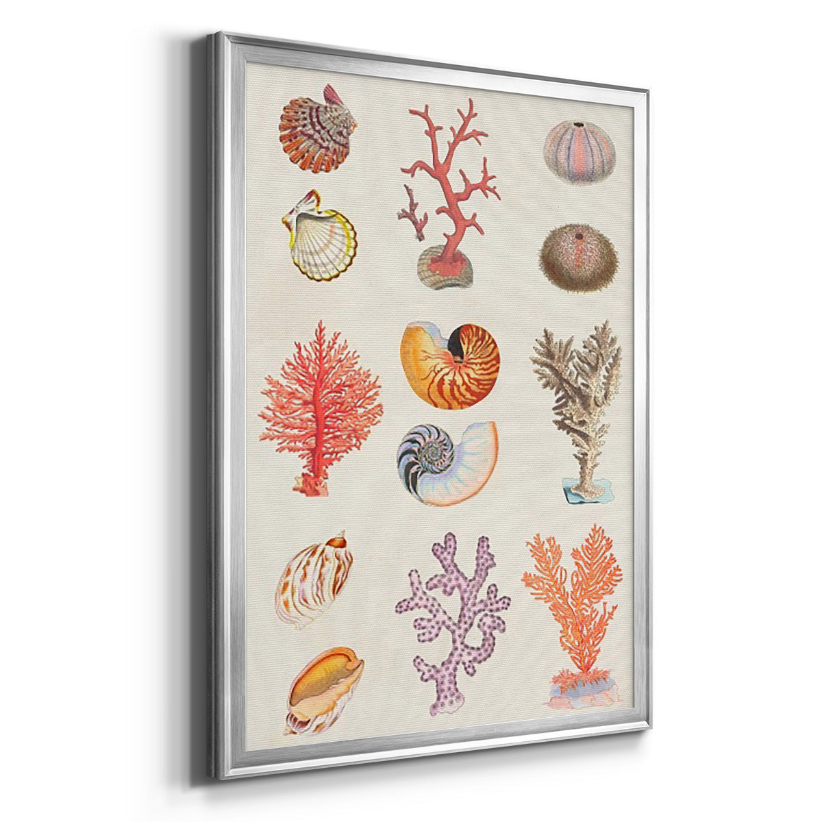 Coral & Shell Collage I -  Framed Canvas Print