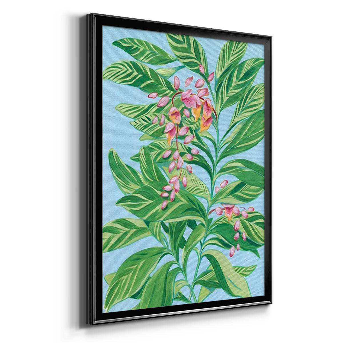 Tropical Shell Ginger II - Modern Framed Canvas Print