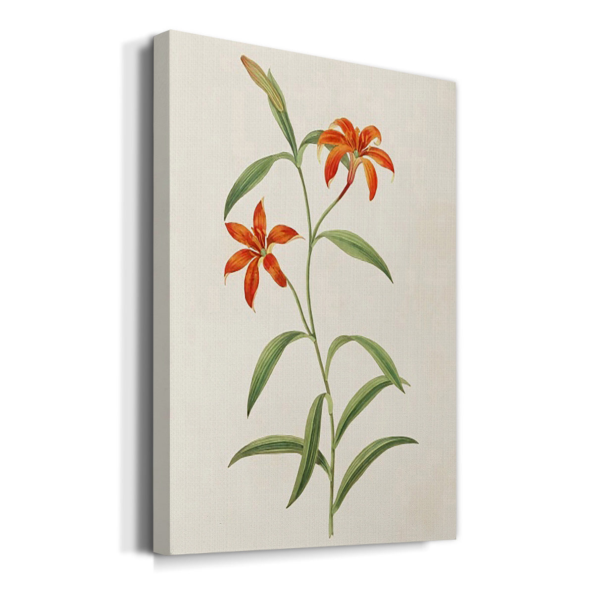 Flowers of the Seasons III - Canvas Art Print