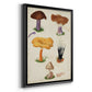 Mushroom Species VII - Modern Framed Canvas Print