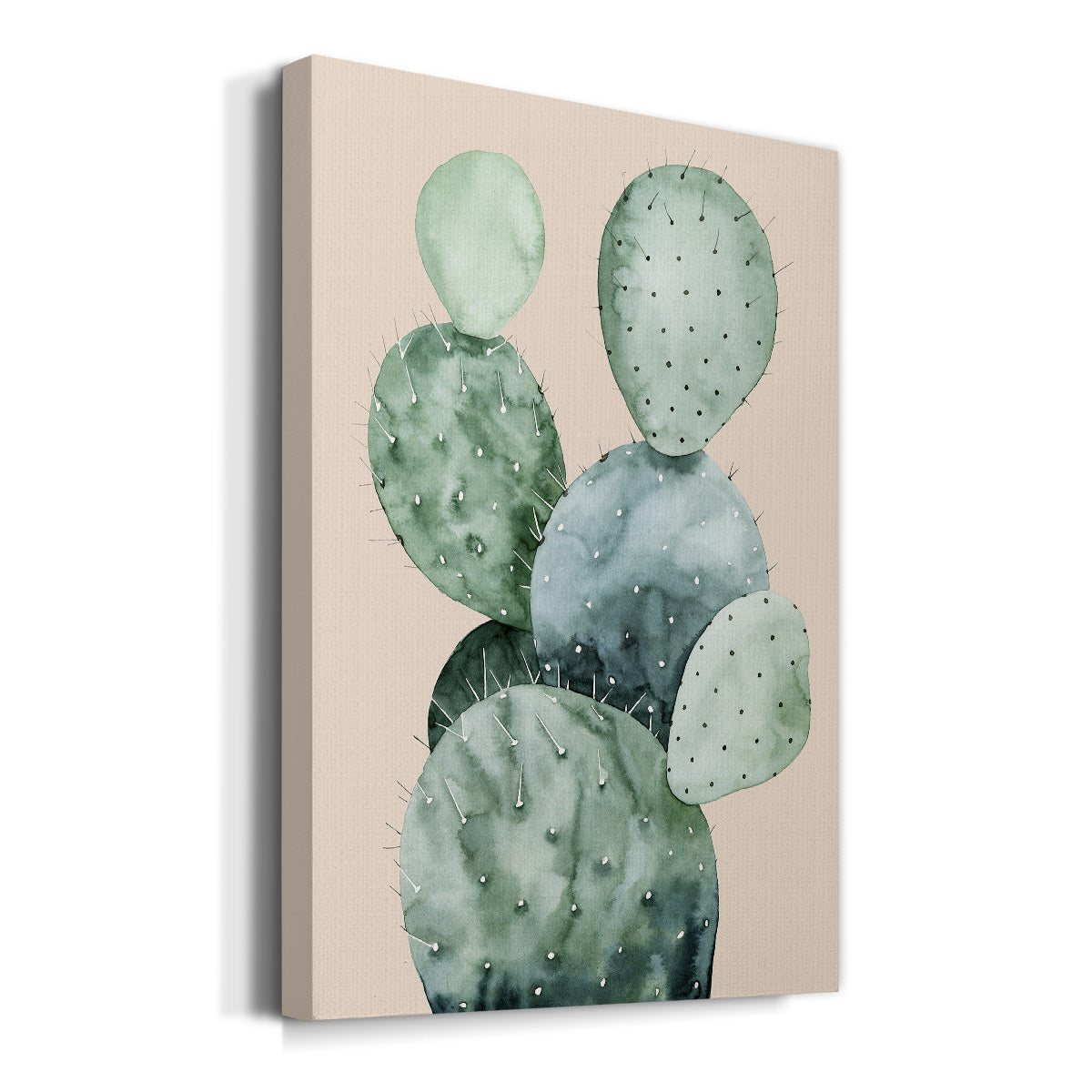 Cactus on Coral II Premium Gallery Wrapped Canvas - Ready to Hang